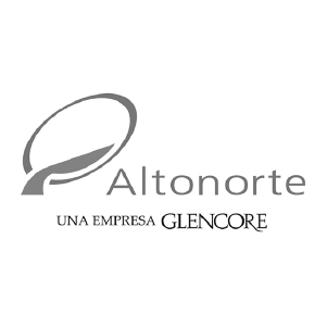 logo-altonorte
