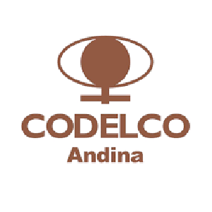 logo-codelco-andina