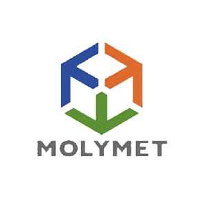 logo-molymet